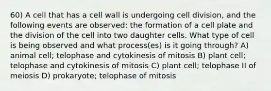 60) A cell that has a cell wall is undergoing cell division, and the following events are observed: the formation of a cell plate and the division of the cell into two daughter cells. What type of cell is being observed and what process(es) is it going through? A) animal cell; telophase and cytokinesis of mitosis B) plant cell; telophase and cytokinesis of mitosis C) plant cell; telophase II of meiosis D) prokaryote; telophase of mitosis