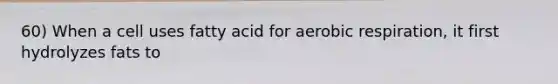 60) When a cell uses fatty acid for aerobic respiration, it first hydrolyzes fats to