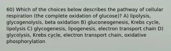 60) Which of the choices below describes the pathway of cellular respiration (the complete oxidation of glucose)? A) lipolysis, glycogenolysis, beta oxidation B) gluconeogenesis, Krebs cycle, lipolysis C) glycogenesis, lipogenesis, electron transport chain D) glycolysis, Krebs cycle, electron transport chain, oxidative phosphorylation