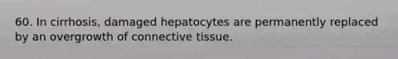 60. In cirrhosis, damaged hepatocytes are permanently replaced by an overgrowth of connective tissue.