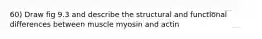 60) Draw fig 9.3 and describe the structural and functional differences between muscle myosin and actin