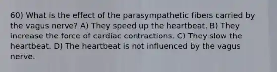 60) What is the effect of the parasympathetic fibers carried by the vagus nerve? A) They speed up the heartbeat. B) They increase the force of cardiac contractions. C) They slow the heartbeat. D) The heartbeat is not influenced by the vagus nerve.