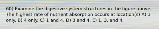 60) Examine the digestive system structures in the figure above. The highest rate of nutrient absorption occurs at location(s) A) 3 only. B) 4 only. C) 1 and 4. D) 3 and 4. E) 1, 3, and 4.