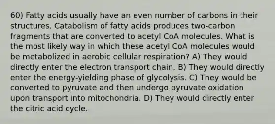 60) Fatty acids usually have an even number of carbons in their structures. Catabolism of fatty acids produces two-carbon fragments that are converted to acetyl CoA molecules. What is the most likely way in which these acetyl CoA molecules would be metabolized in aerobic cellular respiration? A) They would directly enter the electron transport chain. B) They would directly enter the energy-yielding phase of glycolysis. C) They would be converted to pyruvate and then undergo pyruvate oxidation upon transport into mitochondria. D) They would directly enter the citric acid cycle.