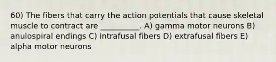 60) The fibers that carry the action potentials that cause skeletal muscle to contract are __________. A) gamma motor neurons B) anulospiral endings C) intrafusal fibers D) extrafusal fibers E) alpha motor neurons