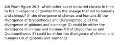 60) From Figure 26.5, which other event occurred closest in time to the divergence of gorillas from the lineage that led to humans and chimps? A) the divergence of chimps and humans B) the divergence of Dryopithecus and Ouranopithecus C) the divergence of gibbons and siamangs D) could be either the divergence of chimps and humans OR of Dryopithecus and Ouranopithecus E) could be either the divergence of chimps and humans OR of gibbons and siamangs