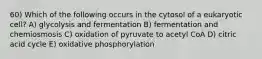 60) Which of the following occurs in the cytosol of a eukaryotic cell? A) glycolysis and fermentation B) fermentation and chemiosmosis C) oxidation of pyruvate to acetyl CoA D) citric acid cycle E) oxidative phosphorylation