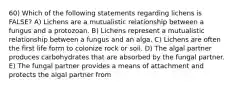 60) Which of the following statements regarding lichens is FALSE? A) Lichens are a mutualistic relationship between a fungus and a protozoan. B) Lichens represent a mutualistic relationship between a fungus and an alga. C) Lichens are often the first life form to colonize rock or soil. D) The algal partner produces carbohydrates that are absorbed by the fungal partner. E) The fungal partner provides a means of attachment and protects the algal partner from