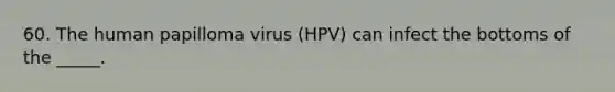 60. The human papilloma virus (HPV) can infect the bottoms of the _____.