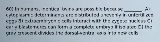 60) In humans, identical twins are possible because ________. A) cytoplasmic determinants are distributed unevenly in unfertilized eggs B) extraembryonic cells interact with the zygote nucleus C) early blastomeres can form a complete embryo if isolated D) the gray crescent divides the dorsal-ventral axis into new cells