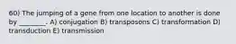 60) The jumping of a gene from one location to another is done by ________. A) conjugation B) transposons C) transformation D) transduction E) transmission