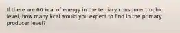 If there are 60 kcal of energy in the tertiary consumer trophic level, how many kcal would you expect to find in the primary producer level?