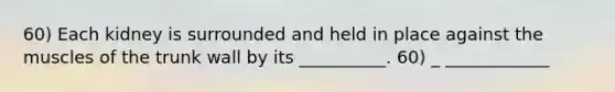 60) Each kidney is surrounded and held in place against the muscles of the trunk wall by its __________. 60) _ ____________