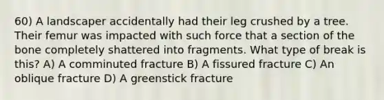 60) A landscaper accidentally had their leg crushed by a tree. Their femur was impacted with such force that a section of the bone completely shattered into fragments. What type of break is this? A) A comminuted fracture B) A fissured fracture C) An oblique fracture D) A greenstick fracture