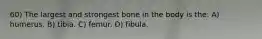 60) The largest and strongest bone in the body is the: A) humerus. B) tibia. C) femur. D) fibula.