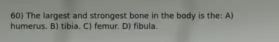 60) The largest and strongest bone in the body is the: A) humerus. B) tibia. C) femur. D) fibula.