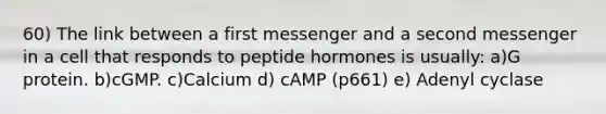 60) The link between a first messenger and a second messenger in a cell that responds to peptide hormones is usually: a)G protein. b)cGMP. c)Calcium d) cAMP (p661) e) Adenyl cyclase