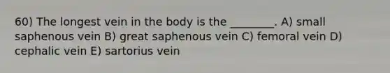 60) The longest vein in the body is the ________. A) small saphenous vein B) great saphenous vein C) femoral vein D) cephalic vein E) sartorius vein