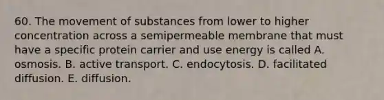 60. The <a href='https://www.questionai.com/knowledge/kPg59iw1QI-movement-of-substances' class='anchor-knowledge'>movement of substances</a> from lower to higher concentration across a semipermeable membrane that must have a specific protein carrier and use energy is called A. osmosis. B. active transport. C. endocytosis. D. facilitated diffusion. E. diffusion.