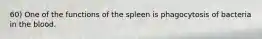 60) One of the functions of the spleen is phagocytosis of bacteria in the blood.