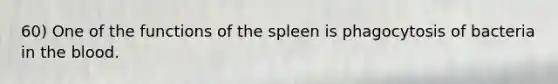 60) One of the functions of the spleen is phagocytosis of bacteria in the blood.