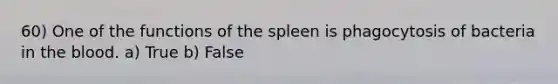 60) One of the functions of the spleen is phagocytosis of bacteria in the blood. a) True b) False