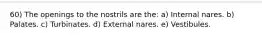 60) The openings to the nostrils are the: a) Internal nares. b) Palates. c) Turbinates. d) External nares. e) Vestibules.