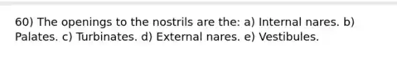 60) The openings to the nostrils are the: a) Internal nares. b) Palates. c) Turbinates. d) External nares. e) Vestibules.