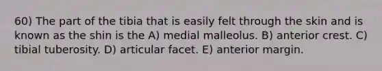 60) The part of the tibia that is easily felt through the skin and is known as the shin is the A) medial malleolus. B) anterior crest. C) tibial tuberosity. D) articular facet. E) anterior margin.