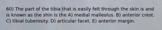 60) The part of the tibia that is easily felt through the skin is and is known as the shin is the A) medial malleolus. B) anterior crest. C) tibial tuberosity. D) articular facet. E) anterior margin.