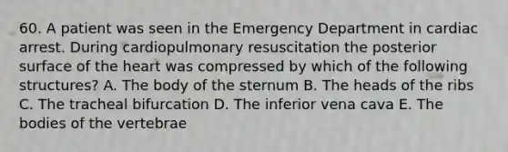 60. A patient was seen in the Emergency Department in cardiac arrest. During cardiopulmonary resuscitation the posterior surface of the heart was compressed by which of the following structures? A. The body of the sternum B. The heads of the ribs C. The tracheal bifurcation D. The inferior vena cava E. The bodies of the vertebrae