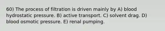 60) The process of filtration is driven mainly by A) blood hydrostatic pressure. B) active transport. C) solvent drag. D) blood osmotic pressure. E) renal pumping.