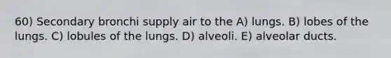 60) Secondary bronchi supply air to the A) lungs. B) lobes of the lungs. C) lobules of the lungs. D) alveoli. E) alveolar ducts.