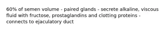 60% of semen volume - paired glands - secrete alkaline, viscous fluid with fructose, prostaglandins and clotting proteins - connects to ejaculatory duct