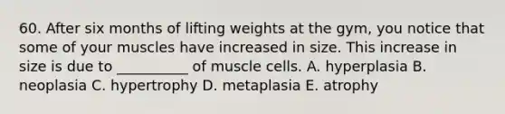 60. After six months of lifting weights at the gym, you notice that some of your muscles have increased in size. This increase in size is due to __________ of muscle cells. A. hyperplasia B. neoplasia C. hypertrophy D. metaplasia E. atrophy