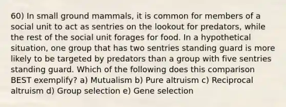 60) In small ground mammals, it is common for members of a social unit to act as sentries on the lookout for predators, while the rest of the social unit forages for food. In a hypothetical situation, one group that has two sentries standing guard is more likely to be targeted by predators than a group with five sentries standing guard. Which of the following does this comparison BEST exemplify? a) Mutualism b) Pure altruism c) Reciprocal altruism d) Group selection e) Gene selection