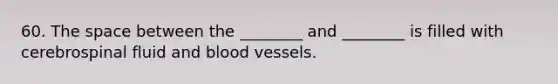 60. The space between the ________ and ________ is filled with cerebrospinal fluid and blood vessels.