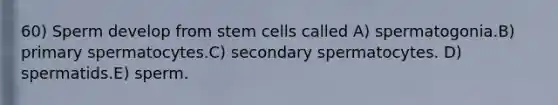 60) Sperm develop from stem cells called A) spermatogonia.B) primary spermatocytes.C) secondary spermatocytes. D) spermatids.E) sperm.