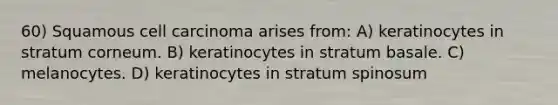 60) Squamous cell carcinoma arises from: A) keratinocytes in stratum corneum. B) keratinocytes in stratum basale. C) melanocytes. D) keratinocytes in stratum spinosum