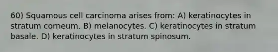 60) Squamous cell carcinoma arises from: A) keratinocytes in stratum corneum. B) melanocytes. C) keratinocytes in stratum basale. D) keratinocytes in stratum spinosum.