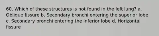 60. Which of these structures is not found in the left lung? a. Oblique fissure b. Secondary bronchi entering the superior lobe c. Secondary bronchi entering the inferior lobe d. Horizontal fissure