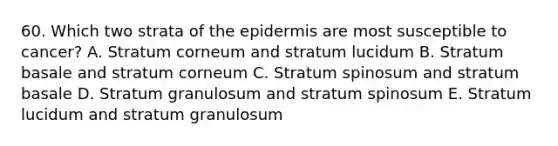 60. Which two strata of the epidermis are most susceptible to cancer? A. Stratum corneum and stratum lucidum B. Stratum basale and stratum corneum C. Stratum spinosum and stratum basale D. Stratum granulosum and stratum spinosum E. Stratum lucidum and stratum granulosum