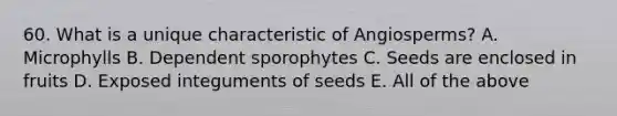 60. What is a unique characteristic of Angiosperms? A. Microphylls B. Dependent sporophytes C. Seeds are enclosed in fruits D. Exposed integuments of seeds E. All of the above