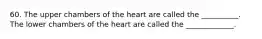 60. The upper chambers of the heart are called the __________. The lower chambers of the heart are called the _____________.