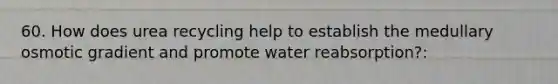 60. How does urea recycling help to establish the medullary osmotic gradient and promote water reabsorption?: