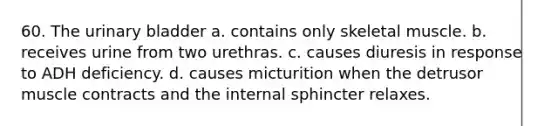 60. The urinary bladder a. contains only skeletal muscle. b. receives urine from two urethras. c. causes diuresis in response to ADH deficiency. d. causes micturition when the detrusor muscle contracts and the internal sphincter relaxes.