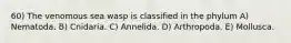 60) The venomous sea wasp is classified in the phylum A) Nematoda. B) Cnidaria. C) Annelida. D) Arthropoda. E) Mollusca.