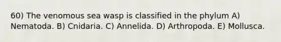 60) The venomous sea wasp is classified in the phylum A) Nematoda. B) Cnidaria. C) Annelida. D) Arthropoda. E) Mollusca.