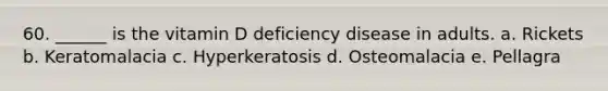 60. ______ is the vitamin D deficiency disease in adults. a. Rickets b. Keratomalacia c. Hyperkeratosis d. Osteomalacia e. Pellagra