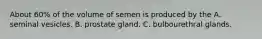 About 60% of the volume of semen is produced by the A. seminal vesicles. B. prostate gland. C. bulbourethral glands.